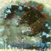 Electric Blue Hermit Crab - Indo Pacific, Size Small