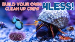 Build Your Own Clean Up Crew 4Less!