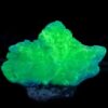 Cabbage Leather: Green Mini - Indo Pacific, Size Small